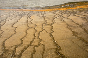 Yellowstone-land